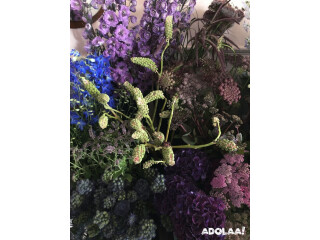 Calluna - Flower delivery London
