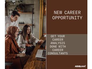 Career Analysis done with Career Consultants