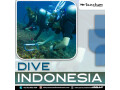 dive-indonesia-small-0