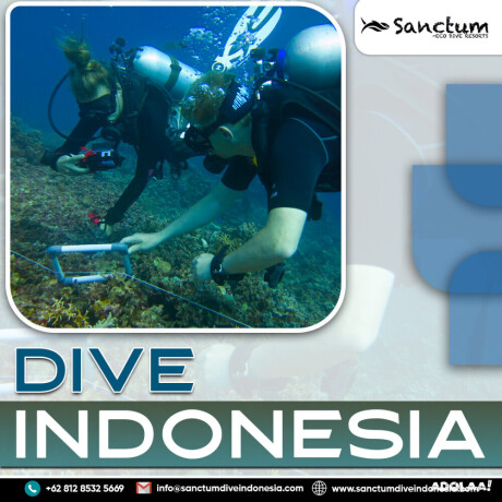 dive-indonesia-big-0