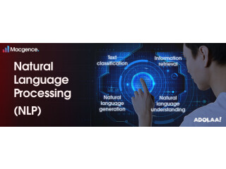 Complete overview of Natural Language Processing need to know | Macgence