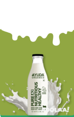elevate-your-daily-nutrition-with-a2-cow-milk-in-ahmedabad-big-0