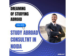 Study Abroad Consultant In Noida