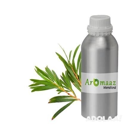 treat-acne-and-pimples-by-using-tea-tree-essential-oil-big-0