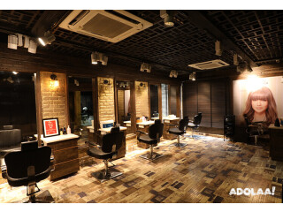 Elegance Meets Expertise salon in sector 49 , Gurgaon