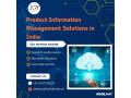product-information-management-solutions-in-india-joy-it-solutions-small-0