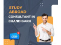 leading-study-abroad-consultant-in-chandigarh-small-0