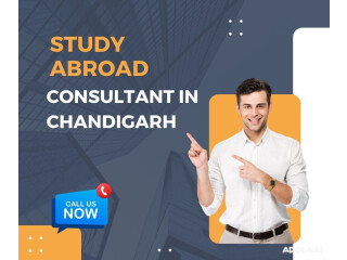 Leading Study Abroad Consultant In Chandigarh