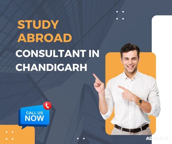 leading-study-abroad-consultant-in-chandigarh-big-0