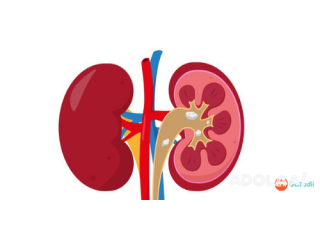 Best Kidney Treatment in India