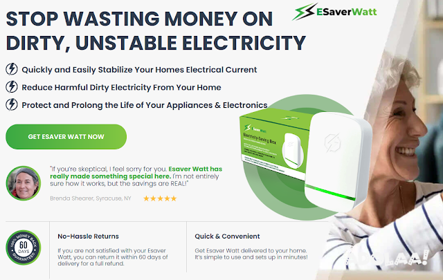 last-finishes-of-the-esaver-watt-power-saver-audit-big-0
