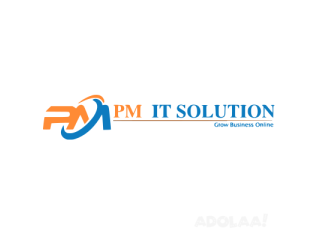 PM IT Solution- Digital Marketing Company