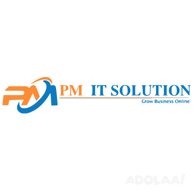 pm-it-solution-digital-marketing-company-big-0