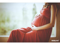 best-surrogacy-centres-in-delhi-2023-small-0