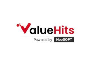 India's Most Promising Digital Marketing Agency - ValueHits