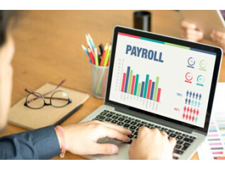 Expert Payroll Processing From Nitin Mittal & Co. Simplify Your Business!