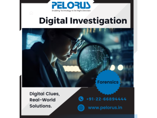 Digital investigation | cyber forensics expert | data forensics