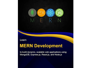 MERN Development course