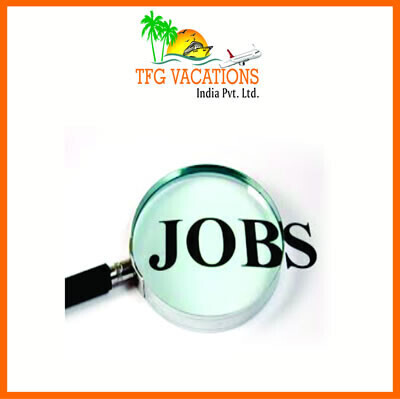 online-home-based-job-big-0