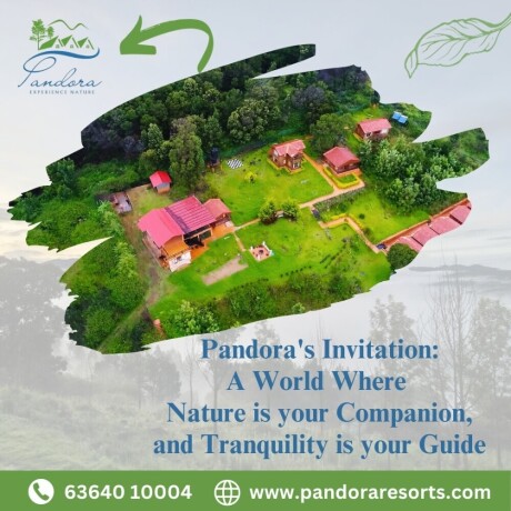 book-your-favorite-rooms-at-pandora-hill-resort-one-of-the-best-hotels-in-ooty-to-stay-big-0