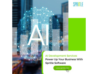 Next-Level Innovation: Spritle Software Delivers Top-Tier AI Development Services for Your Success!