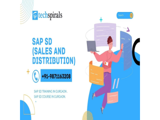 Best SAP SD Training Institute In Gurgaon