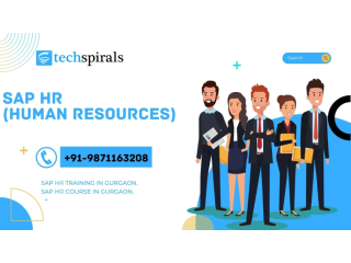 Best Institute for SAP HR Courses in Gurgaon