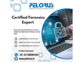 Forensics examiner | Cyber expert near me