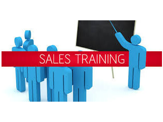 Sales Excellence Programs