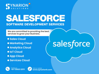 Salesforce software development services