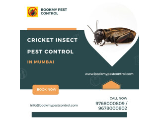 CRICKET INSECT PEST CONTROL IN MUMBAI | 9768000809