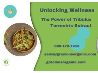 Unlocking Wellness: The Power of Tribulus Terrestris Extract