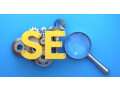 seo-services-in-delhi-small-0