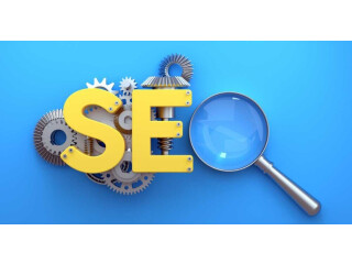 SEO Services in Delhi