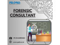 forensic-consultant-forensics-audit-small-0