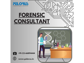 Forensic consultant | forensics audit