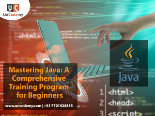 Mastering Java: A Comprehensive Training Program for Beginners