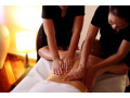 royal-oak-spa-in-sector-47-gurugram-9717734545-small-7