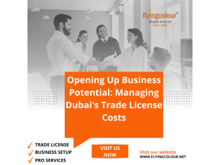 Opening Up Business Potential: Managing Dubai's Trade License Costs