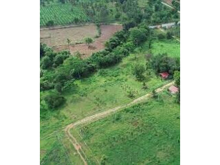 Gated Farm land near Bangalore