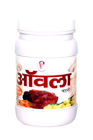 fresh-and-delicious-panchgavya-amla-chutni-get-it-now-big-0