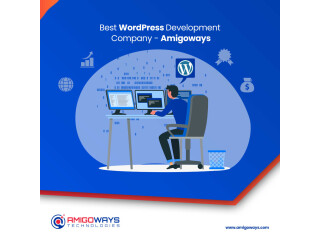 Top WordPress Plugin & Theme Development Services in Tamilnadu