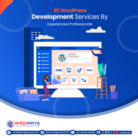 top-wordpress-plugin-theme-development-services-in-tamilnadu-big-3