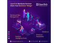 openteq-netsuite-implementation-teamnetsuite-licensing-small-0