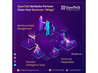 OpenteQ NetSuite Implementation Team|NetSuite Licensing