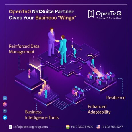 openteq-netsuite-implementation-teamnetsuite-licensing-big-0