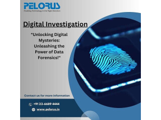 Digital investigation|Digital evidence recovery