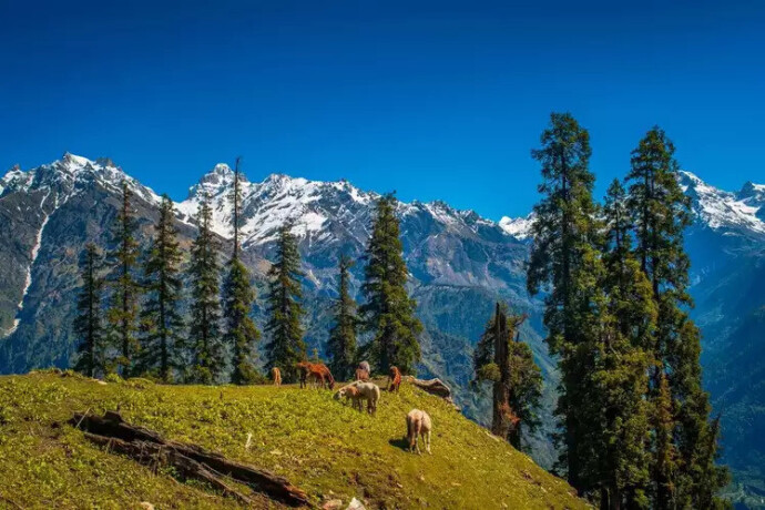 himachal-trip-packages-big-0