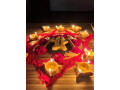 astrolger-bhoomika-kalam-small-2