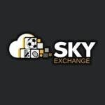 unlocking-limitless-possibilities-sky-exchange-id-for-seamless-transactions-big-0